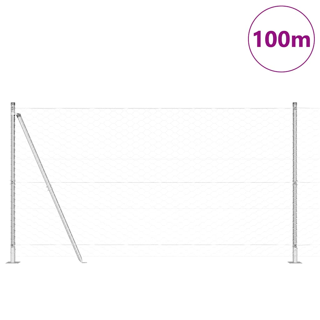 Palo della recinzione Argento 100 x 1,5 m (rete da 50 mm)