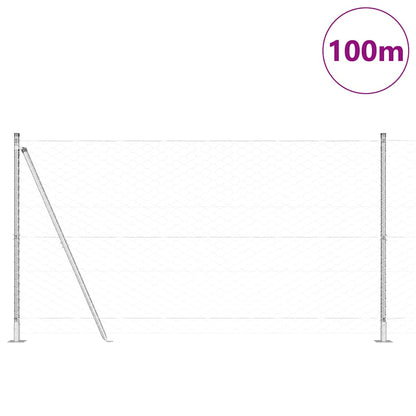 Palo della recinzione Argento 100 x 1,6 m (rete 50 mm) Acciaio