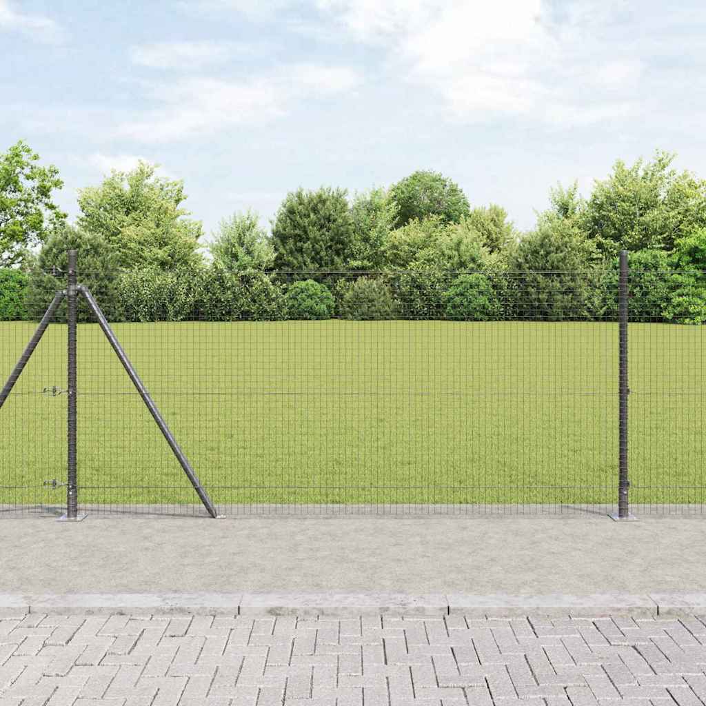 Palo della recinzione Grigio 50 x 1 m (rete da 25 x 25 mm)