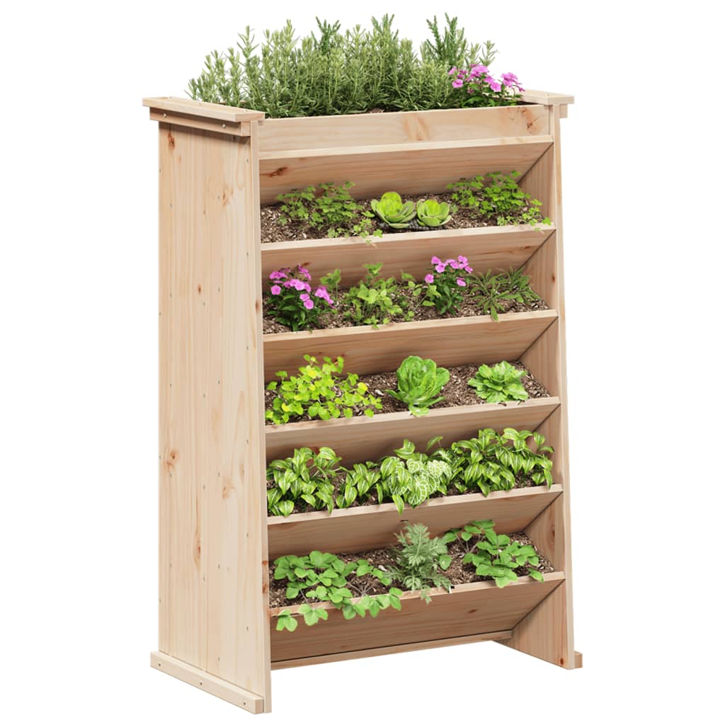 Fioriera per Erbe 6 Ripiani 69x40x101,5cm Legno Massello Pino
