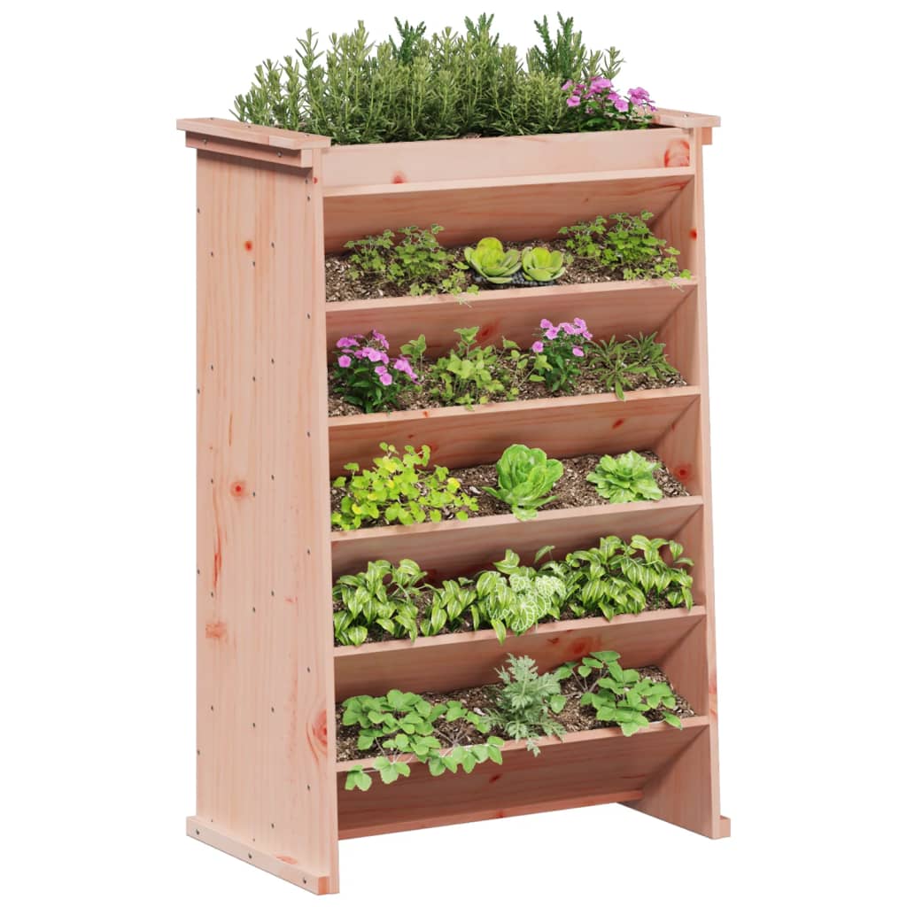 Fioriera per Erbe 6Ripiani 69x40x101,5cm Legno Massello Douglas