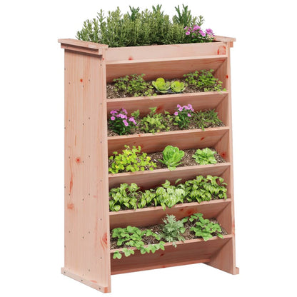 Fioriera per Erbe 6Ripiani 69x40x101,5cm Legno Massello Douglas