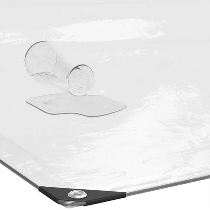 Telone Trasparente con Occhielli 2x3 m in Polietilene