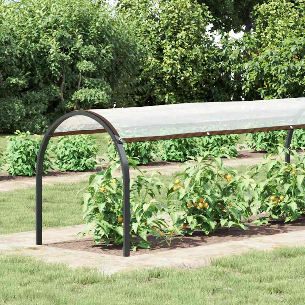 Telone Trasparente con Occhielli 1x8 m in Polietilene