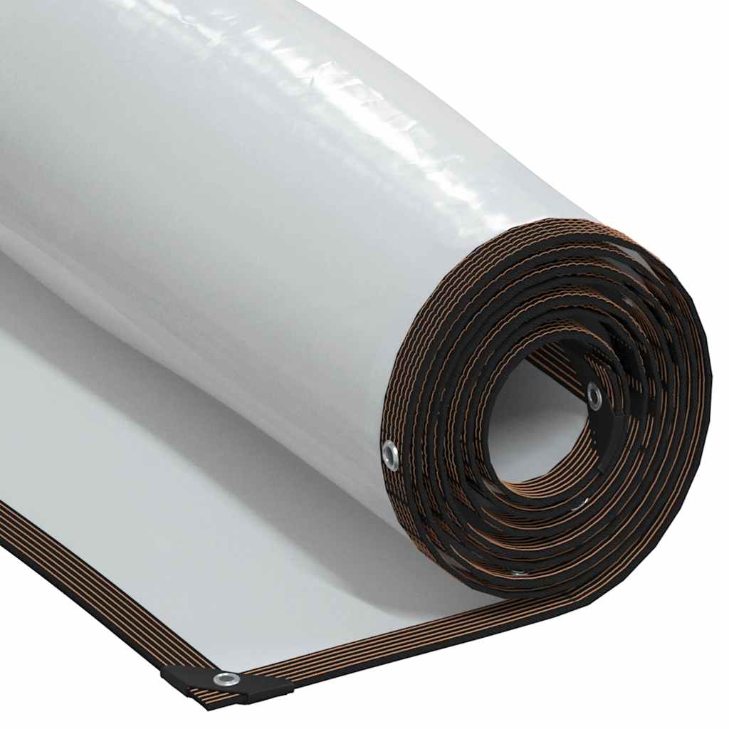 Telone Trasparente con Occhielli 2x4 m in Polietilene
