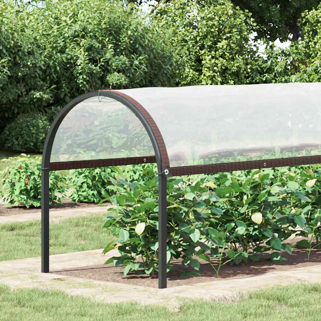 Copertura per Piante con Occhielli 2x10 m in Polietilene