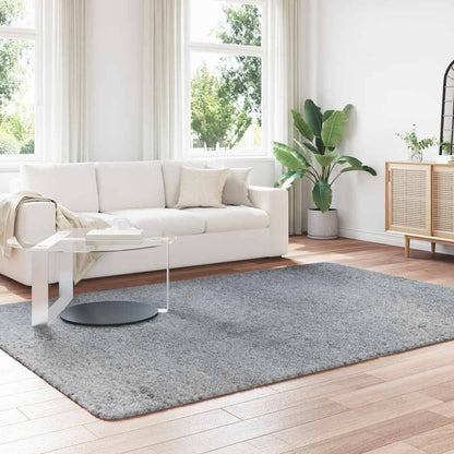 Tappeto Shaggy a Pelo Lungo NAVARRA Grigio Chiaro 200x290 cm