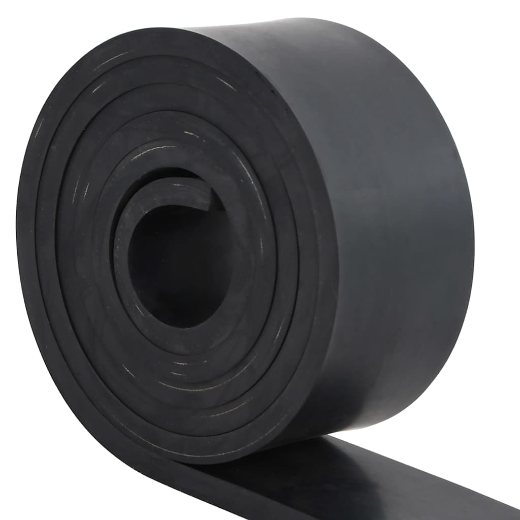Bordo in Gomma per Spazzaneve Nero 300x8x1 cm