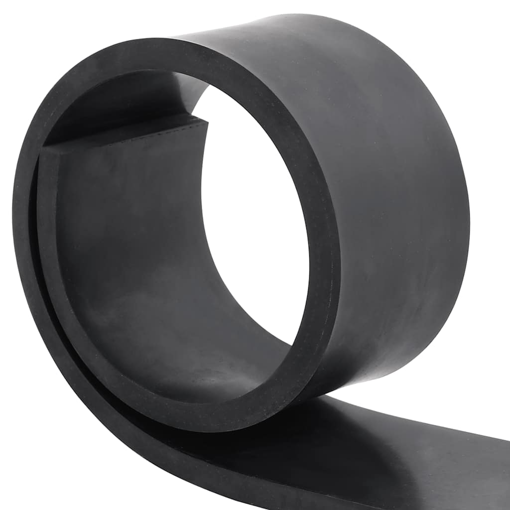 Bordo in Gomma per Spazzaneve Nero 80x10x1 cm