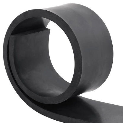 Bordo in Gomma per Spazzaneve Nero 120x10x1 cm