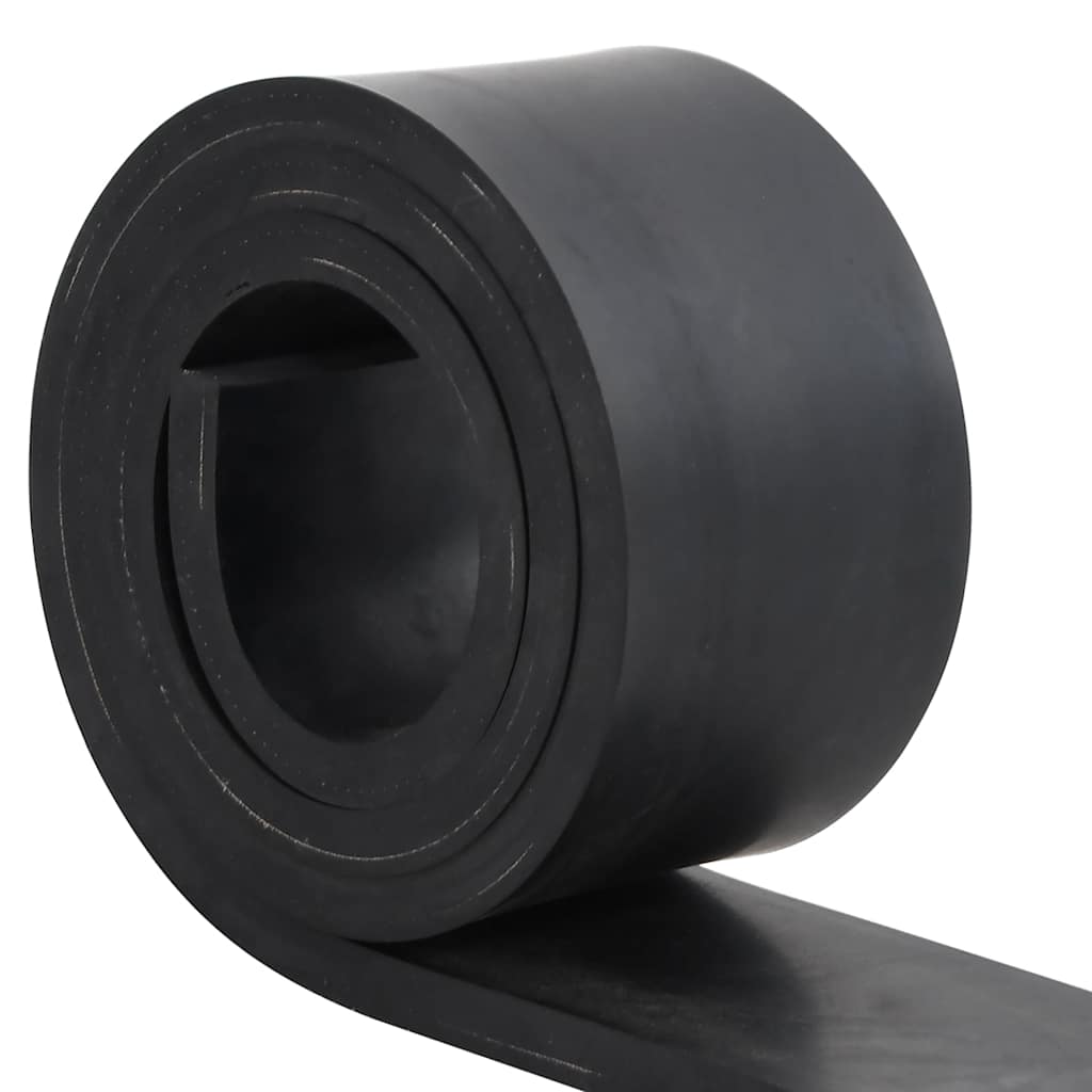 Bordo in Gomma per Spazzaneve Nero 200x10x1 cm