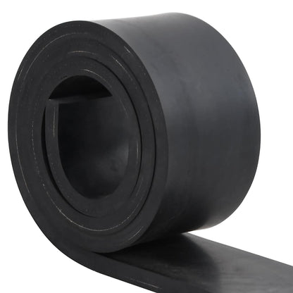 Bordo in Gomma per Spazzaneve Nero 200x10x1 cm