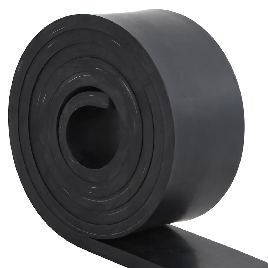 Bordo in Gomma per Spazzaneve Nero 250x10x1 cm