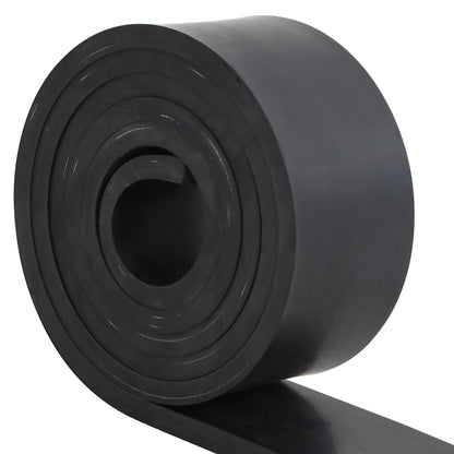 Bordo in Gomma per Spazzaneve Nero 250x10x1 cm