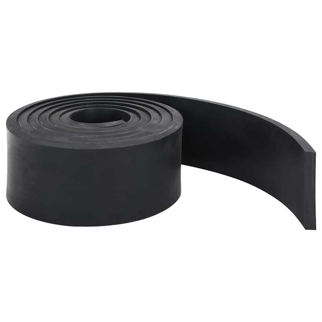 Bordo in Gomma per Spazzaneve Nero 300x10x1 cm