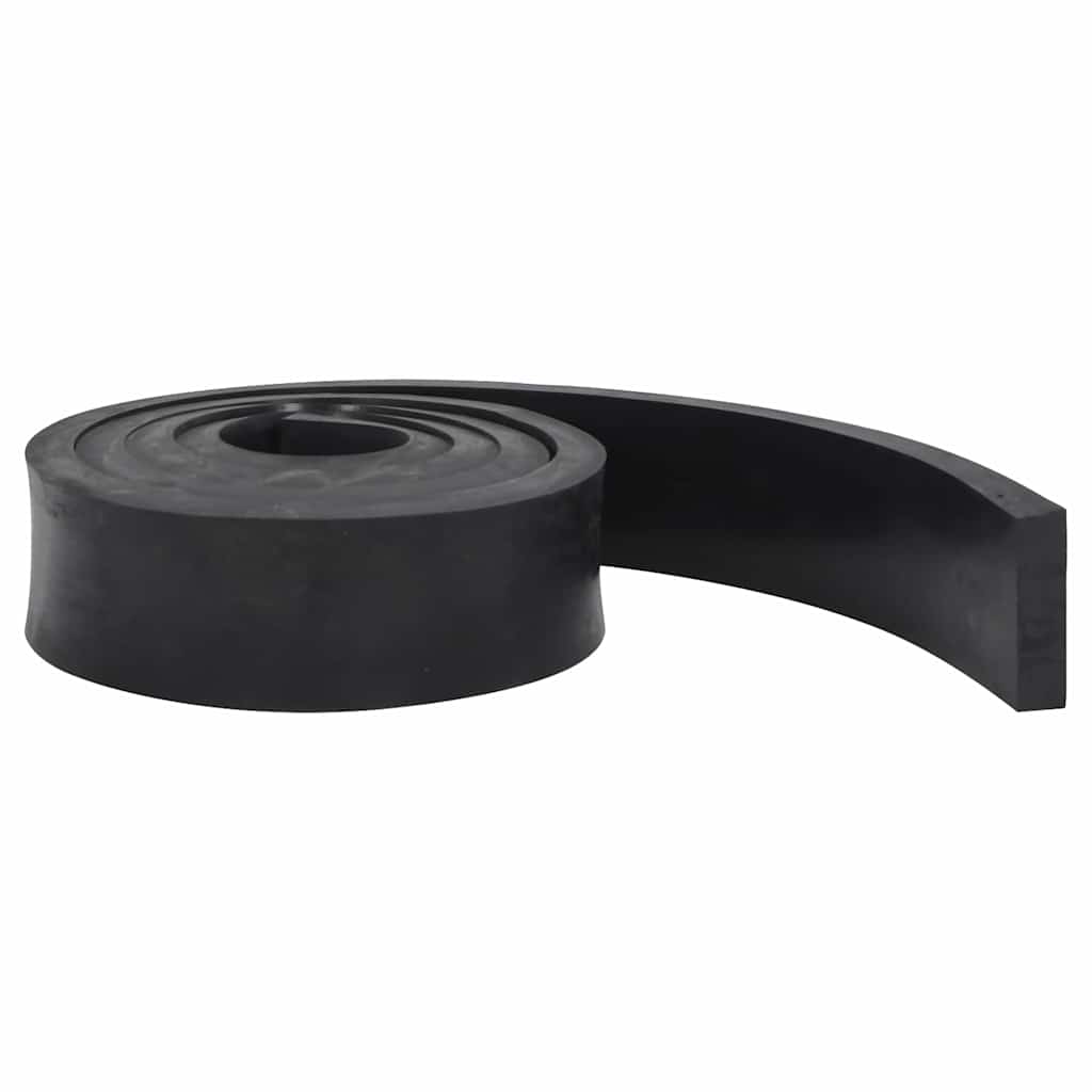 Bordo in Gomma per Spazzaneve Nero 250x8x2 cm