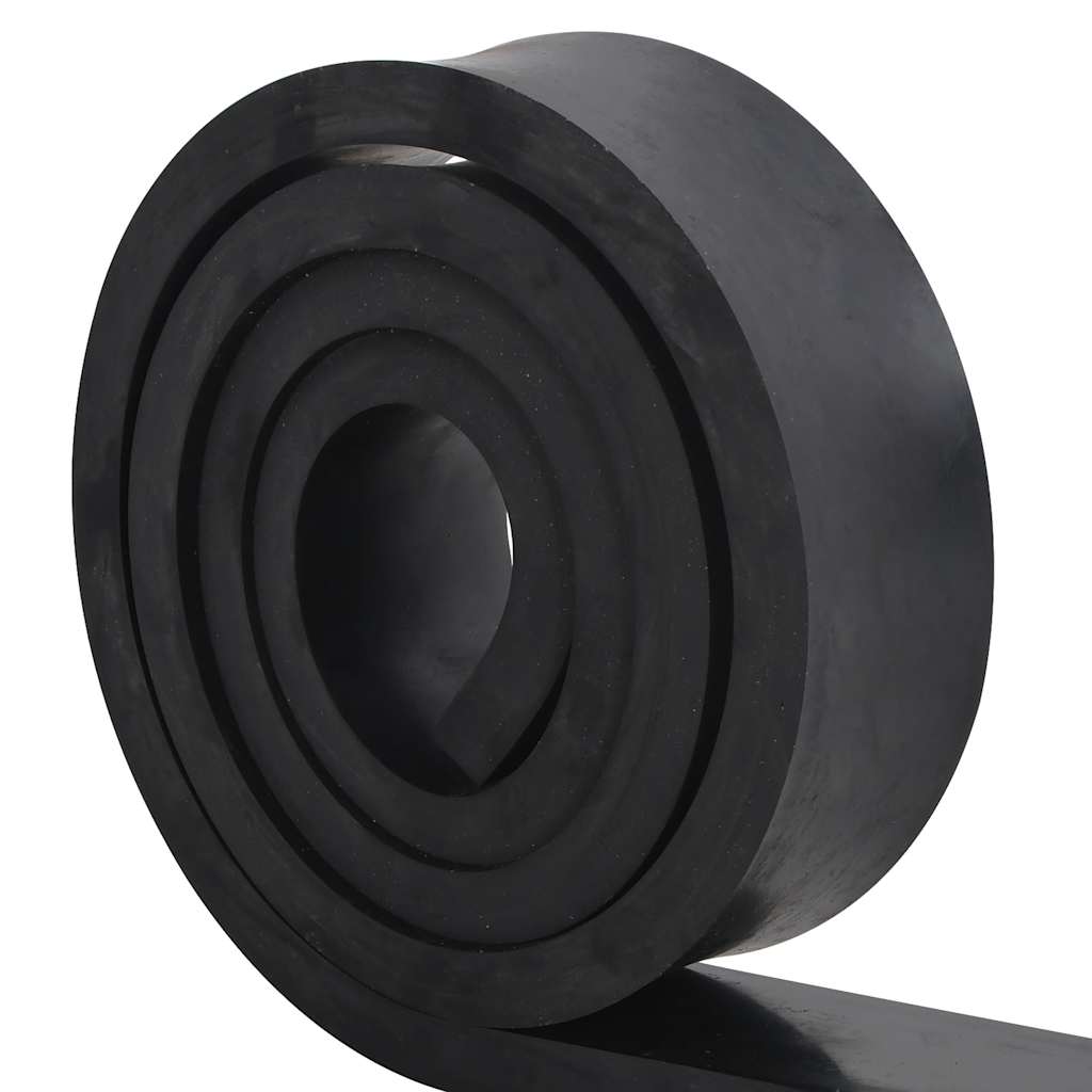 Bordo in Gomma per Spazzaneve Nero 250x8x2 cm