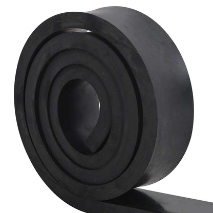 Bordo in Gomma per Spazzaneve Nero 250x8x2 cm