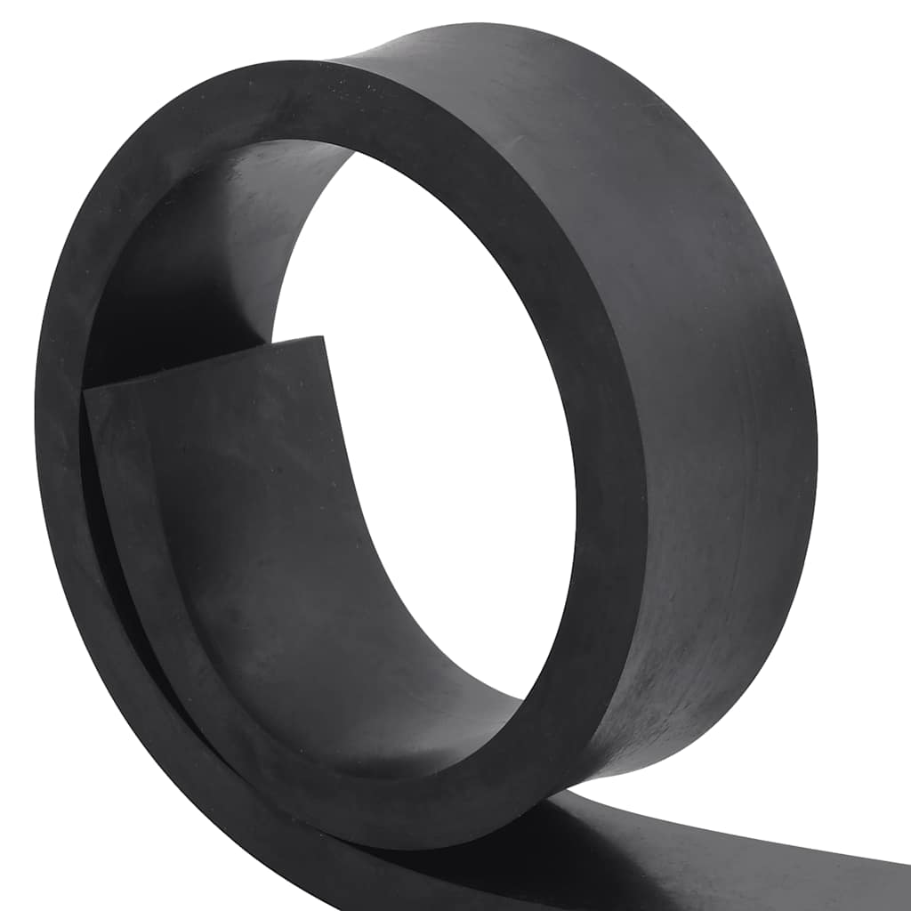 Bordo in Gomma per Spazzaneve Nero 100x10x2 cm