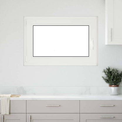 Finestra Seminterrato RISOR 60x100 cm Anta Ribalta DIN Sinistra
