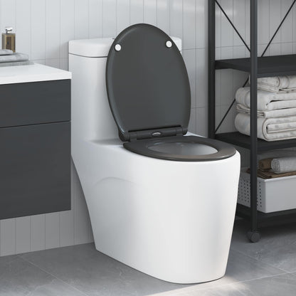 Sedile del WC Antracite 47 x 37,5 x 3,8 cm Duroplast