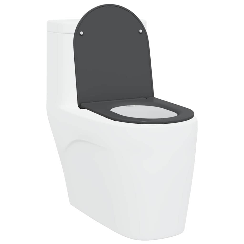 Sedile del WC Antracite 47 x 36 x 3,4 cm Duroplast