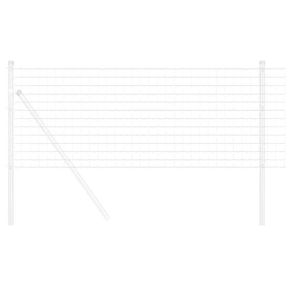 Recinzione Euro 0,4 x 50 m Ferro rivestito in PVC