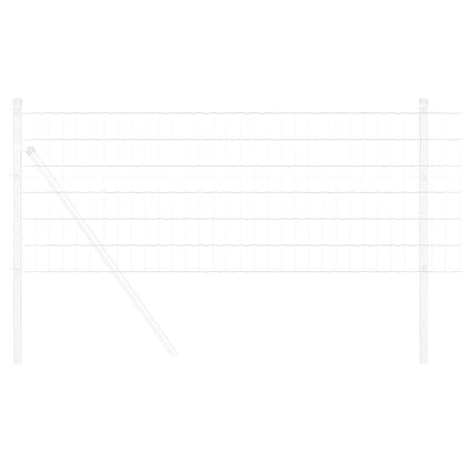 Recinzione Euro 0,4 x 50 m Ferro rivestito in PVC