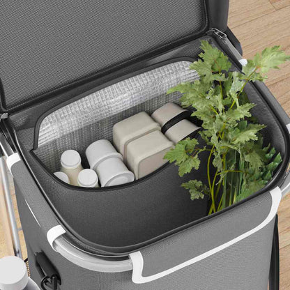 Carrello della spesa Grigio 36,5 x 46,5 x 100,5 cm