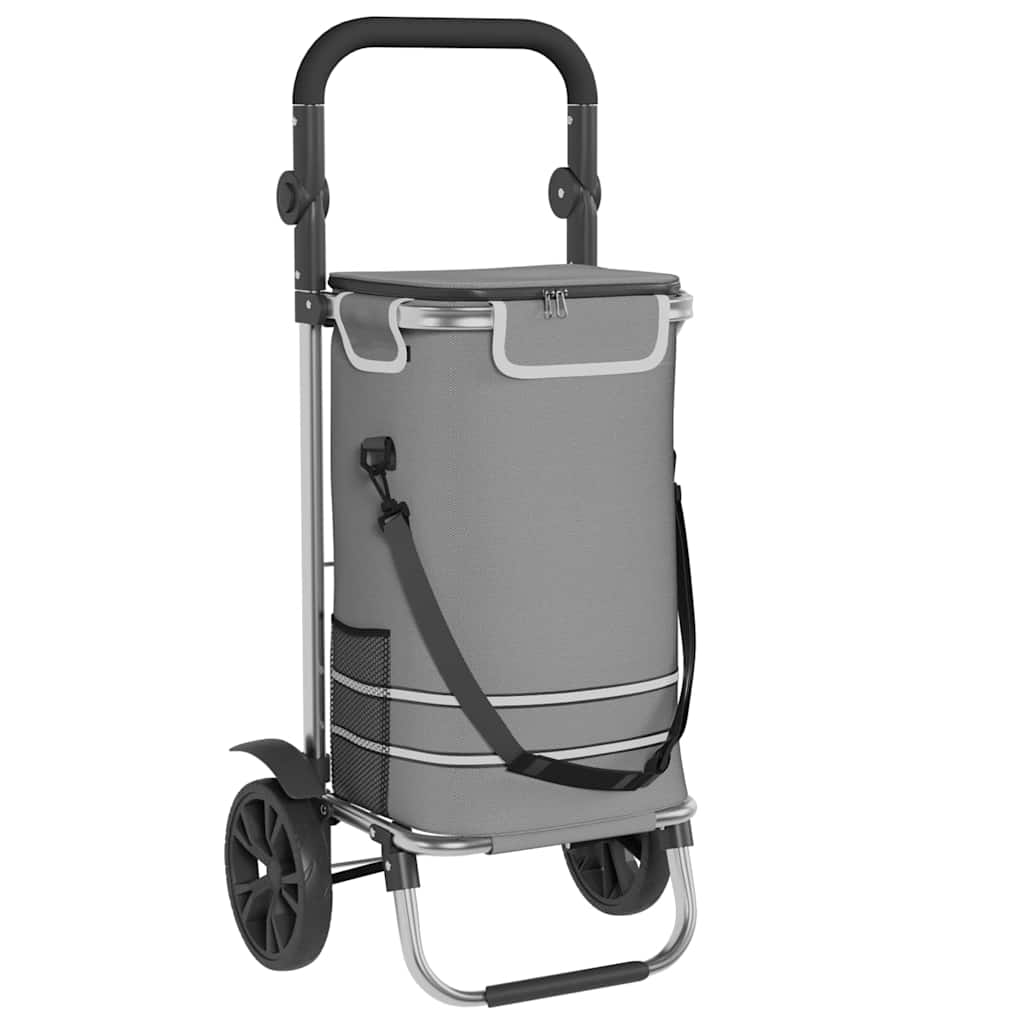 Carrello della spesa Grigio 36,5 x 46,5 x 100,5 cm