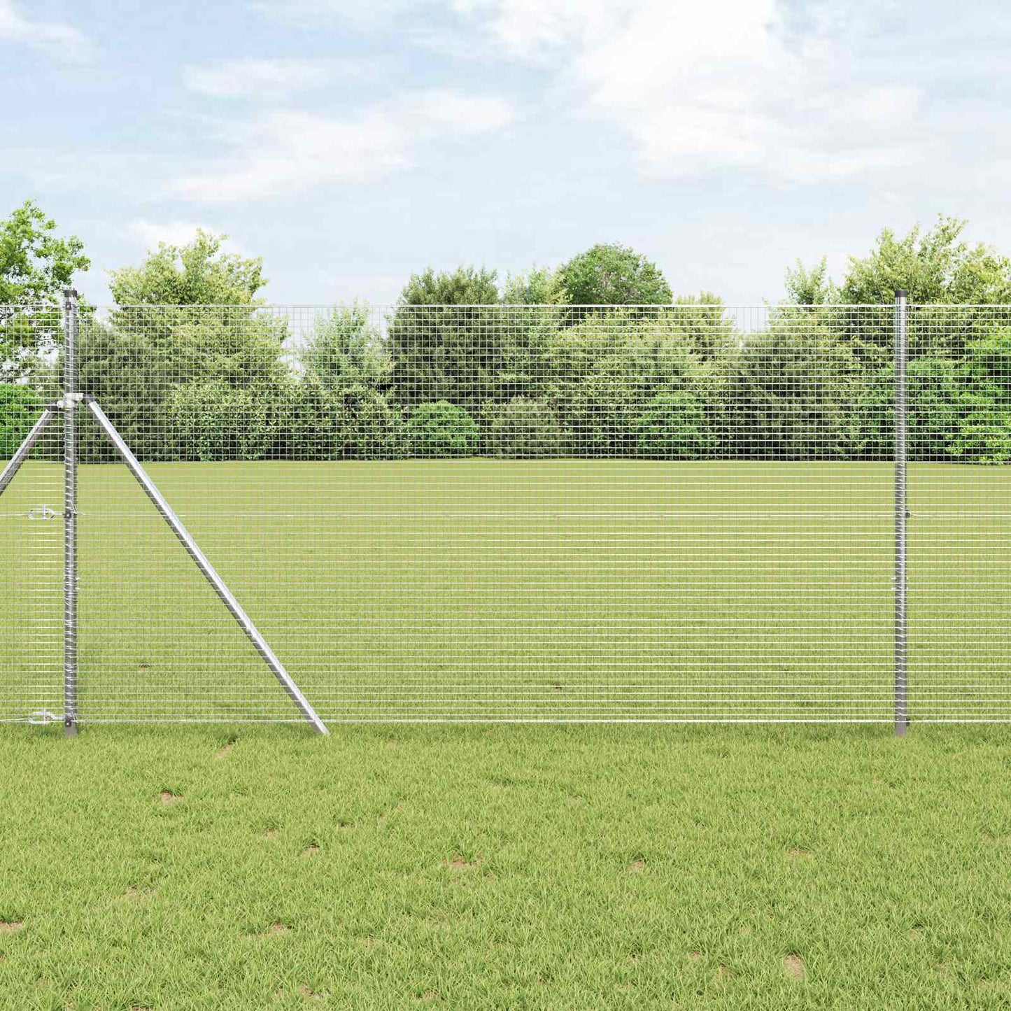 Recinzione in Rete Saldato Argento 1 x 50 m