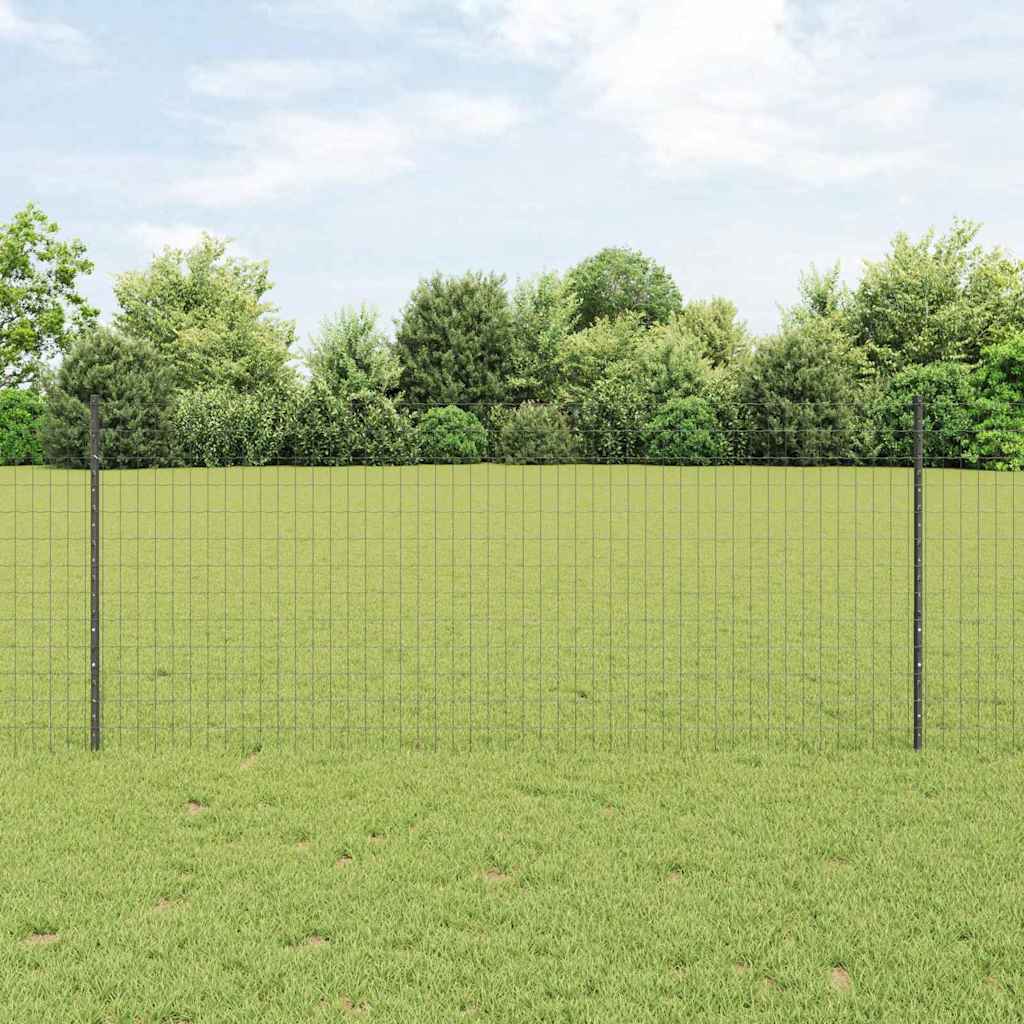 Recinzione con Posto Grigio 1 x 10 m Acciaio e PVC