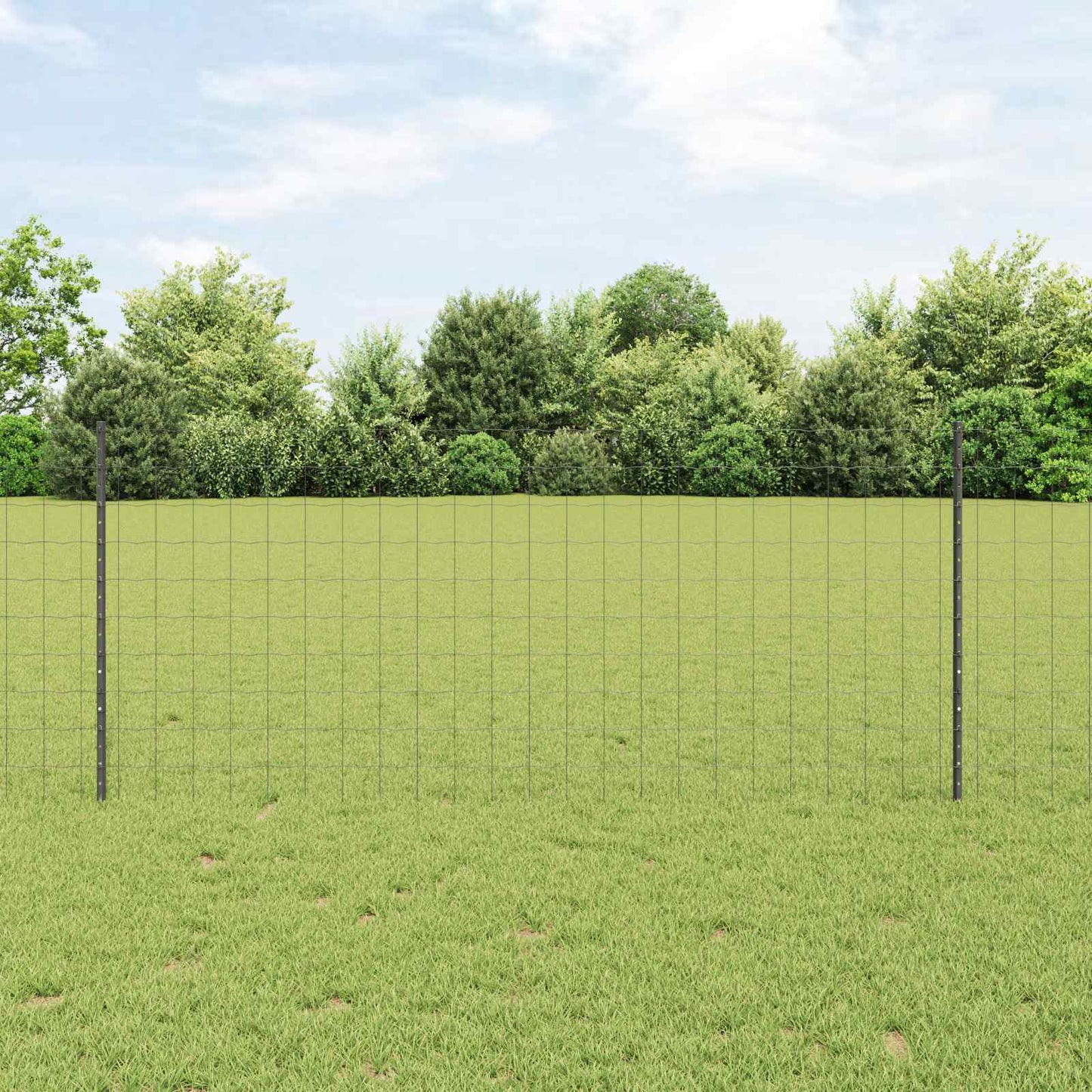 Recinzione con Posto Grigio 1 x 10 m Acciaio