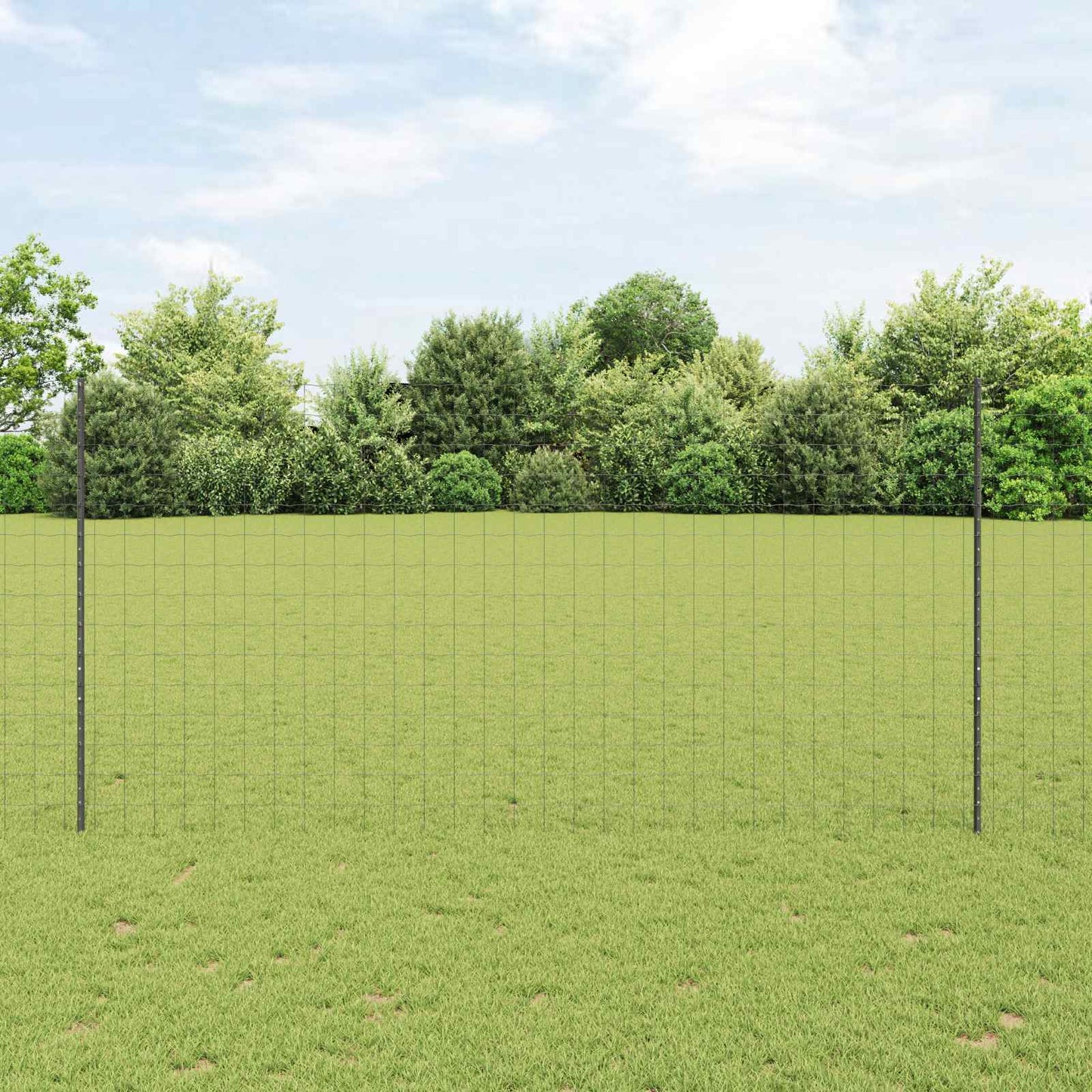 Recinzione con Posto Grigio 1,5 x 10 m Acciaio