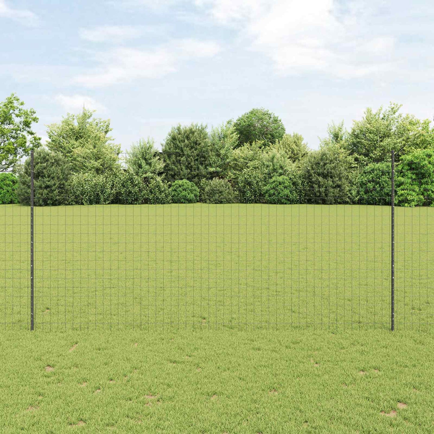 Recinzione con Posto Grigio 1,5 x 10 m Acciaio