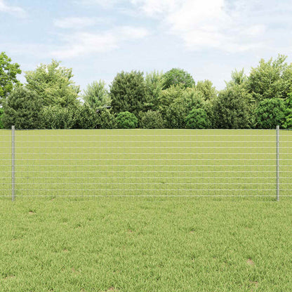 Recinzione con Posto Argento 0,6 x 10 m Acciaio
