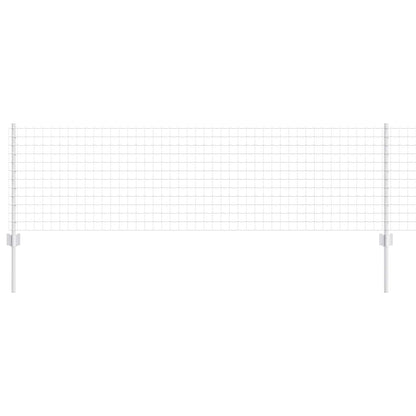 Recinzione con Posto Argento 0,6 x 10 m Acciaio