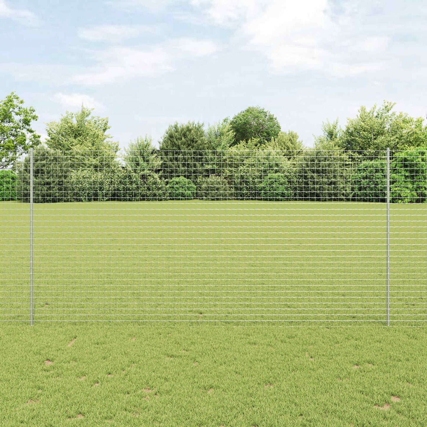 Recinzione con Posto Argento 1,6 x 10 m Acciaio