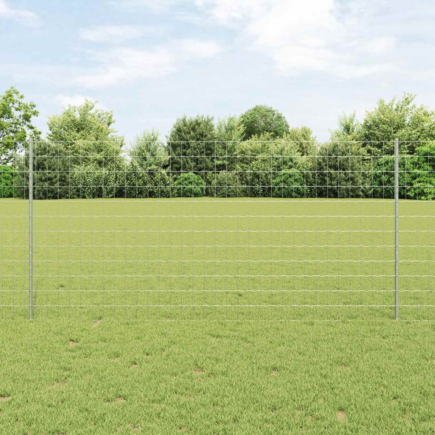 Recinzione con Posto Argento 1,2 x 10 m Acciaio