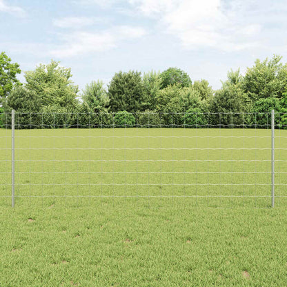 Recinzione con Posto Argento 0,8 x 25 m Acciaio