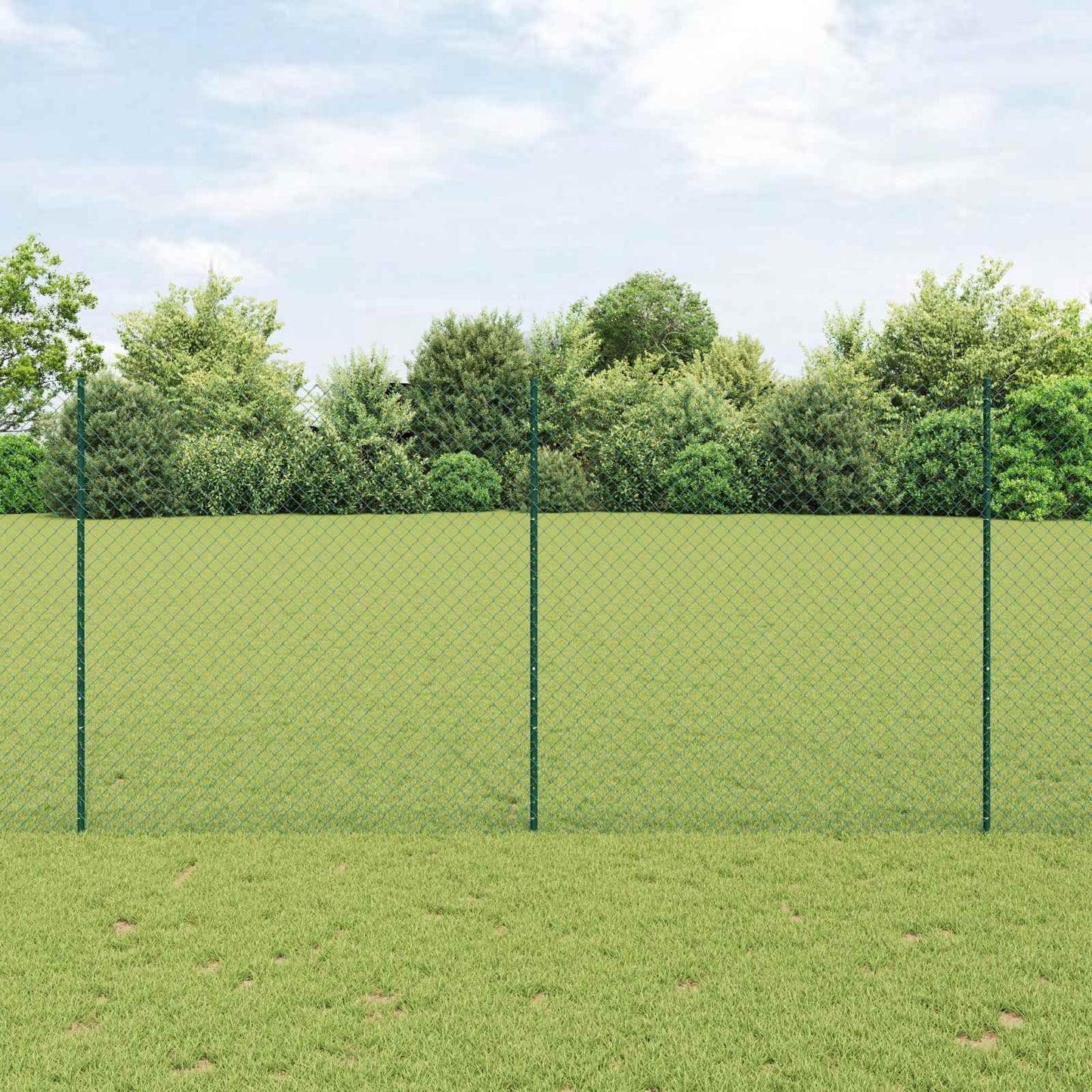 Recinzione con Posto Verde 1,6 x 10 m Acciaio e PVC