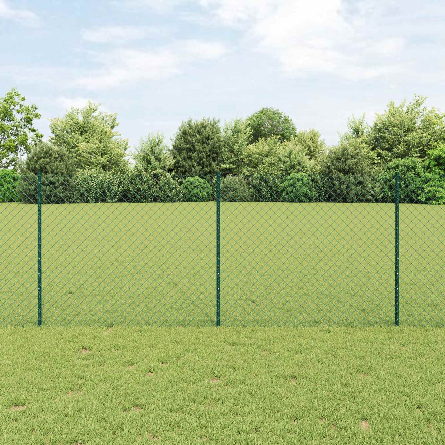 Recinzione con Posto Verde 1 x 25 m Acciaio e PVC