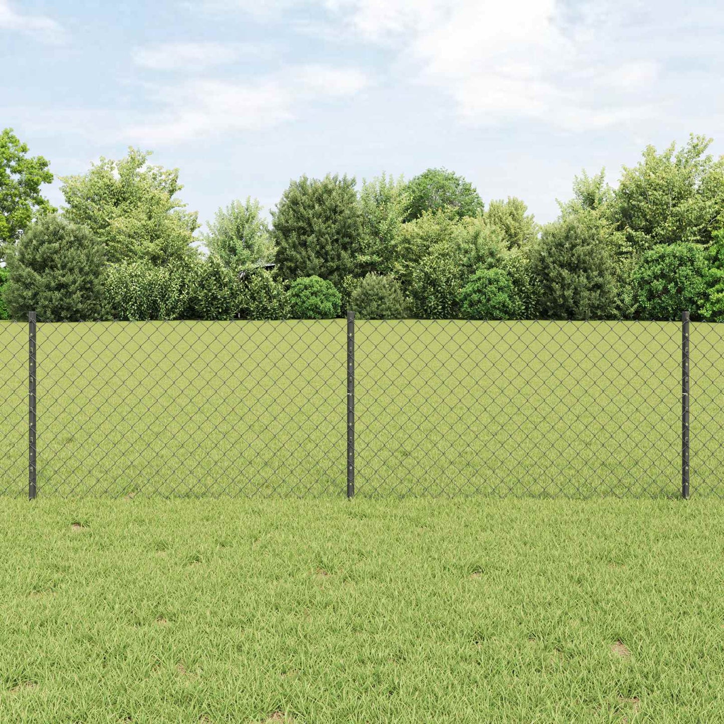 Recinzione con Posto Grigio 0,6 x 10 m Acciaio e PVC