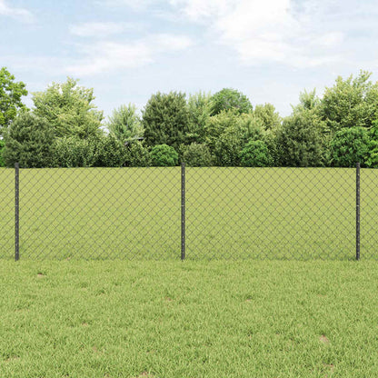 Recinzione con Posto Grigio 0,6 x 10 m Acciaio e PVC