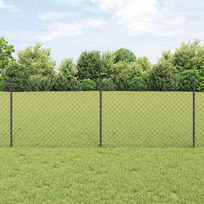 Recinzione con Posto Grigio 0,8 x 10 m Acciaio e PVC