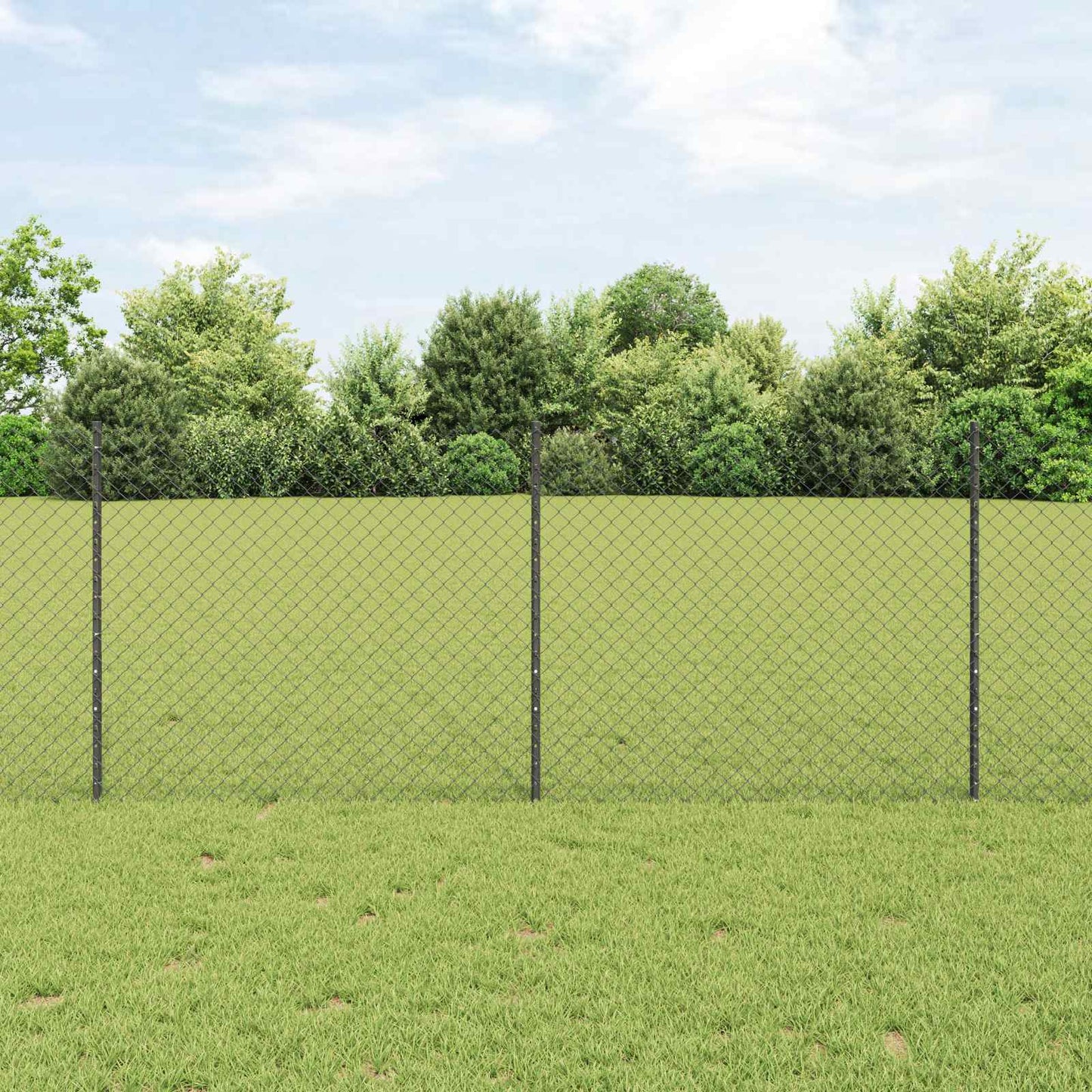 Recinzione con Posto Grigio 1 x 10 m Acciaio e PVC