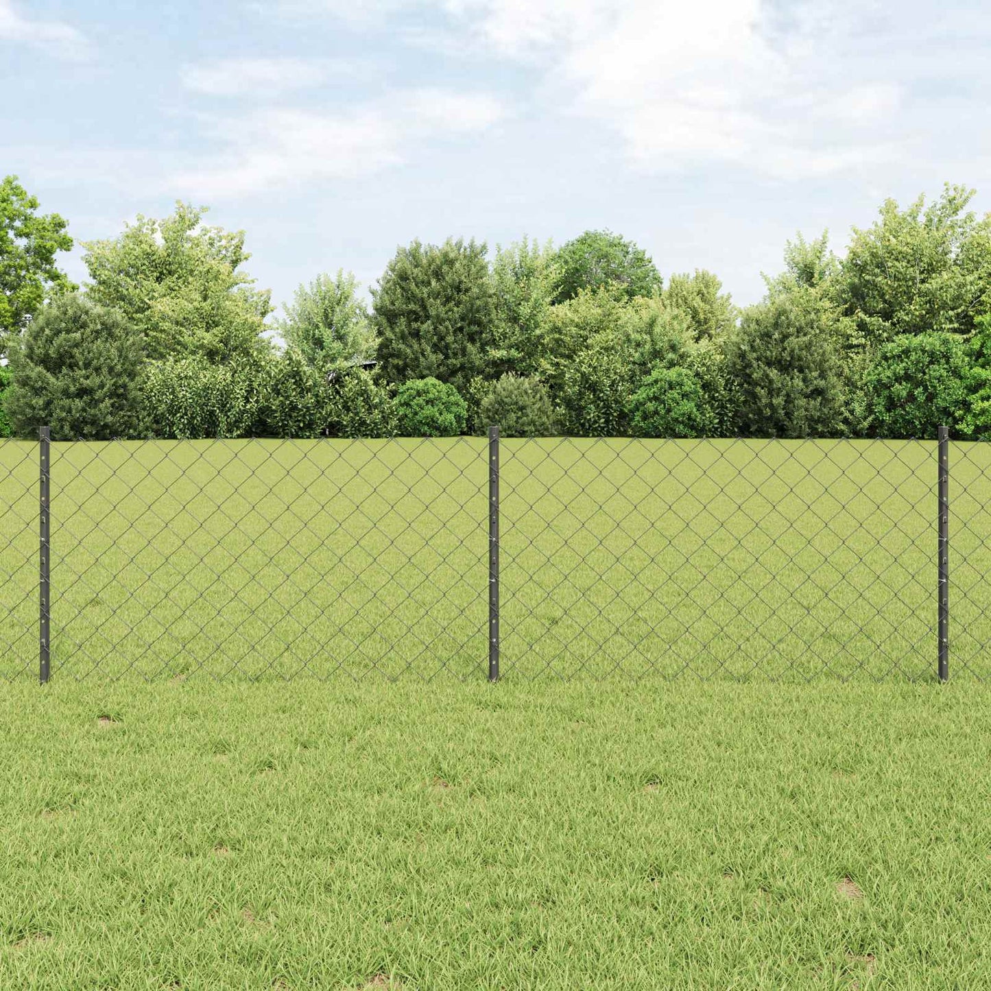 Recinzione con Posto Grigio 0,6 x 10 m Acciaio e PVC