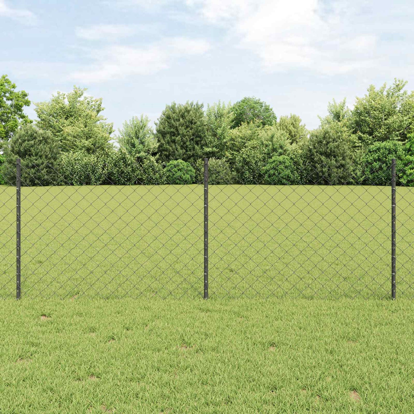Recinzione con Posto Grigio 0,8 x 10 m Acciaio e PVC