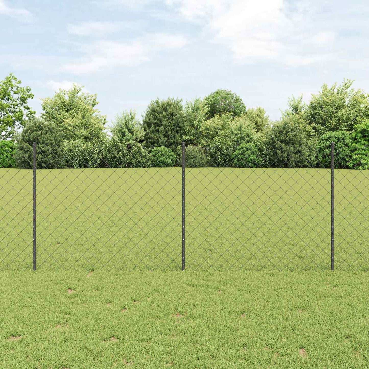 Recinzione con Posto Grigio 1 x 10 m Acciaio e PVC