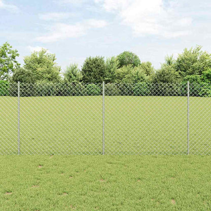 Recinzione con Posto Argento 1 x 10 m Acciaio